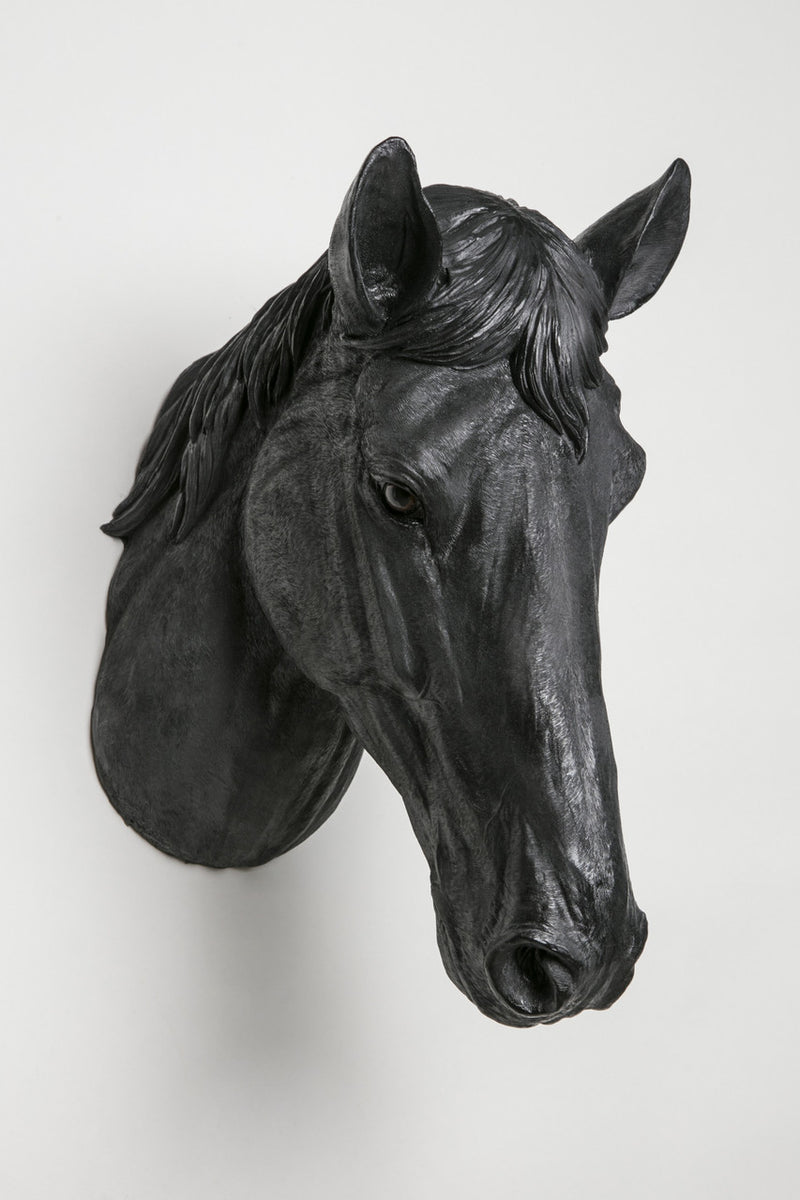 Interior Illusions Plus Horse Head Taxidermy | Trophy Head | Modishstore