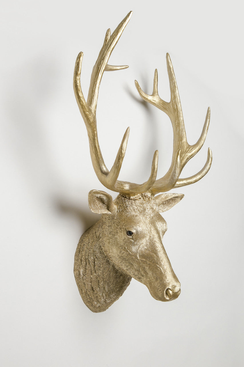 Interior Illusions Plus Deer Head Taxidermy (Gold Version) | Trophy Head | Modishstore