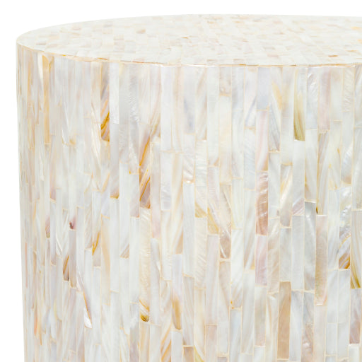 Surya End Table - ISC-003 | End Tables | Modishstore-2