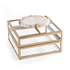 Fossilized Clam Glass Display Box by Napa Home and Garden
