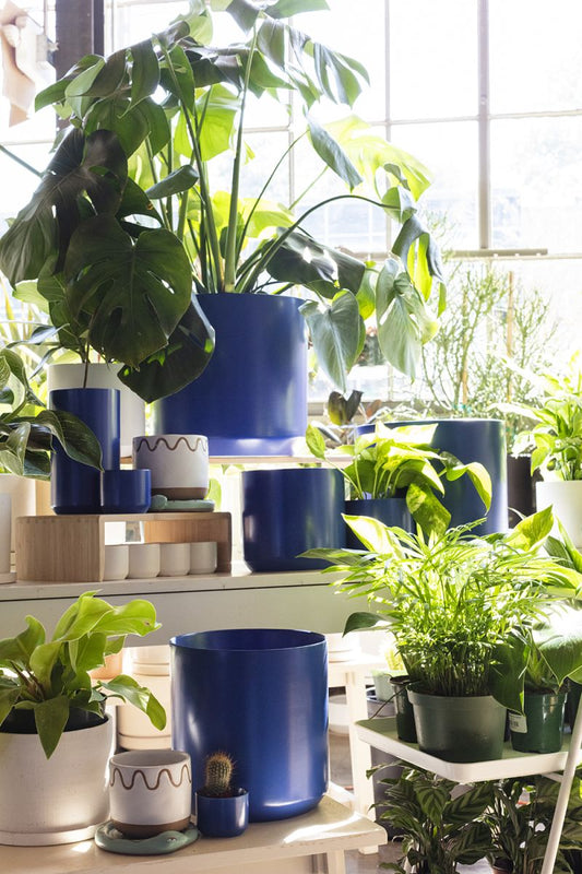 Kendall Collection 2.5"x 2" Pot Set Of 12 By Accent Decor | Planters, Troughs & Cachepots | Modishstore - 1