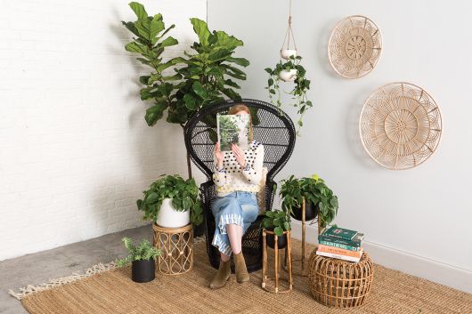 Kora Plant Stand/Side Table By Accent Decor | Stands | Modishstore - 9