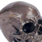 Metal Skull Antique Bronze By Regina Andrew | Sculptures | Modishstore - 3
