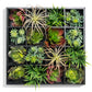 Green Wall, Pixelated Succulent by Gold Leaf Design Group | Green Wall | Modishstore - 8