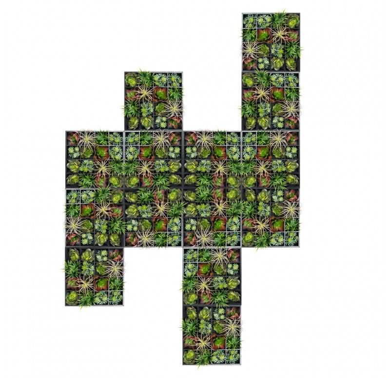 Green Wall, Pixelated Succulent by Gold Leaf Design Group | Green Wall | Modishstore - 10