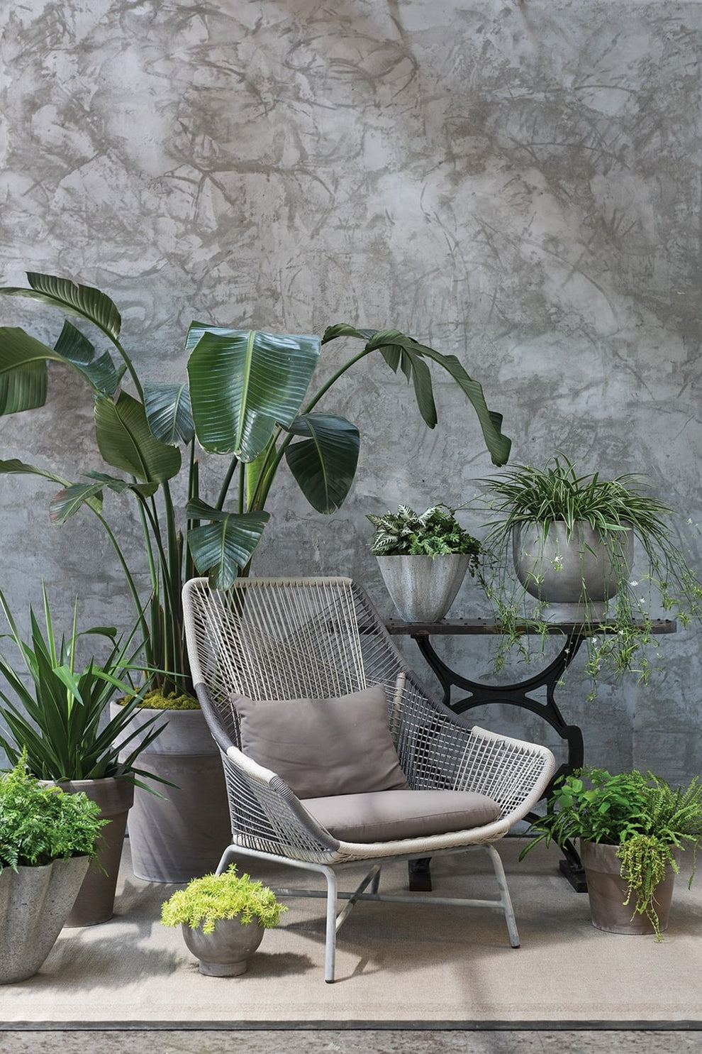 Newport Concrete Grey Compote Planter By Accent Decor- 3 Sizes | Planters, Troughs & Cachepots | Modishstore - 4