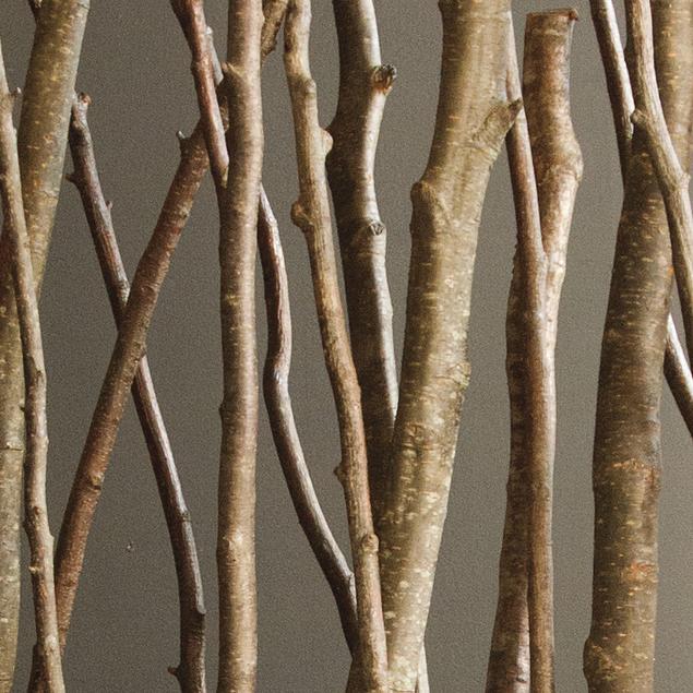 Alder Poles 6'L x 1"-2"dia By Gold Leaf Design Group | Birch | Modishstore