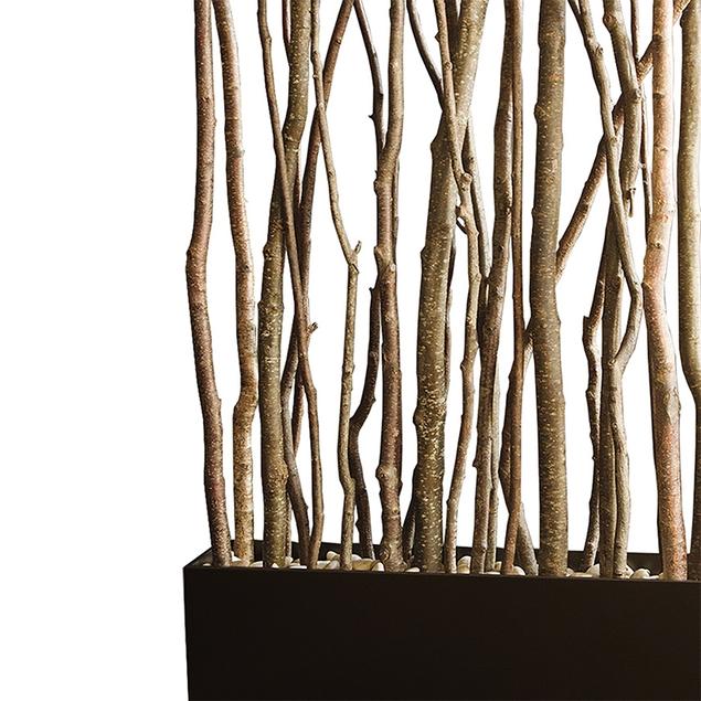 Alder Poles 6'L x 1"-2"dia By Gold Leaf Design Group | Birch | Modishstore-2