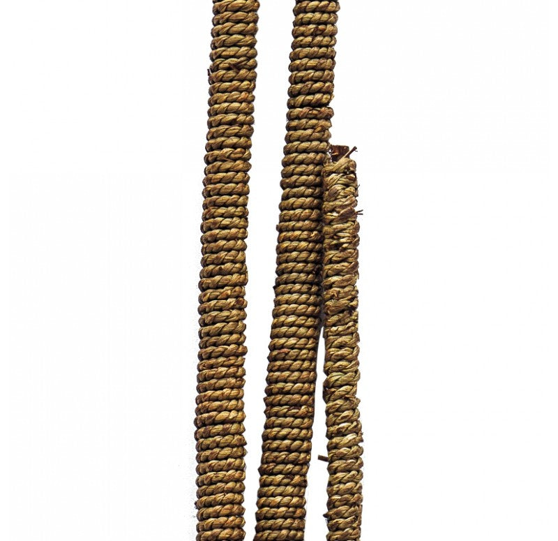 Rope Wrapped Willow in Linear Planter by Gold Leaf Design Group | Botanicals | Modishstore - 2