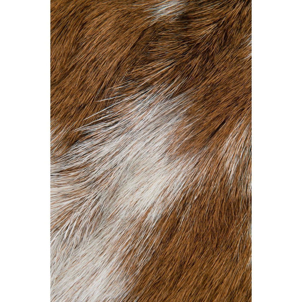 (LS) Safari Folding Natural Goat Hide Stool by Jeffan | Stools | Modishstore - 4