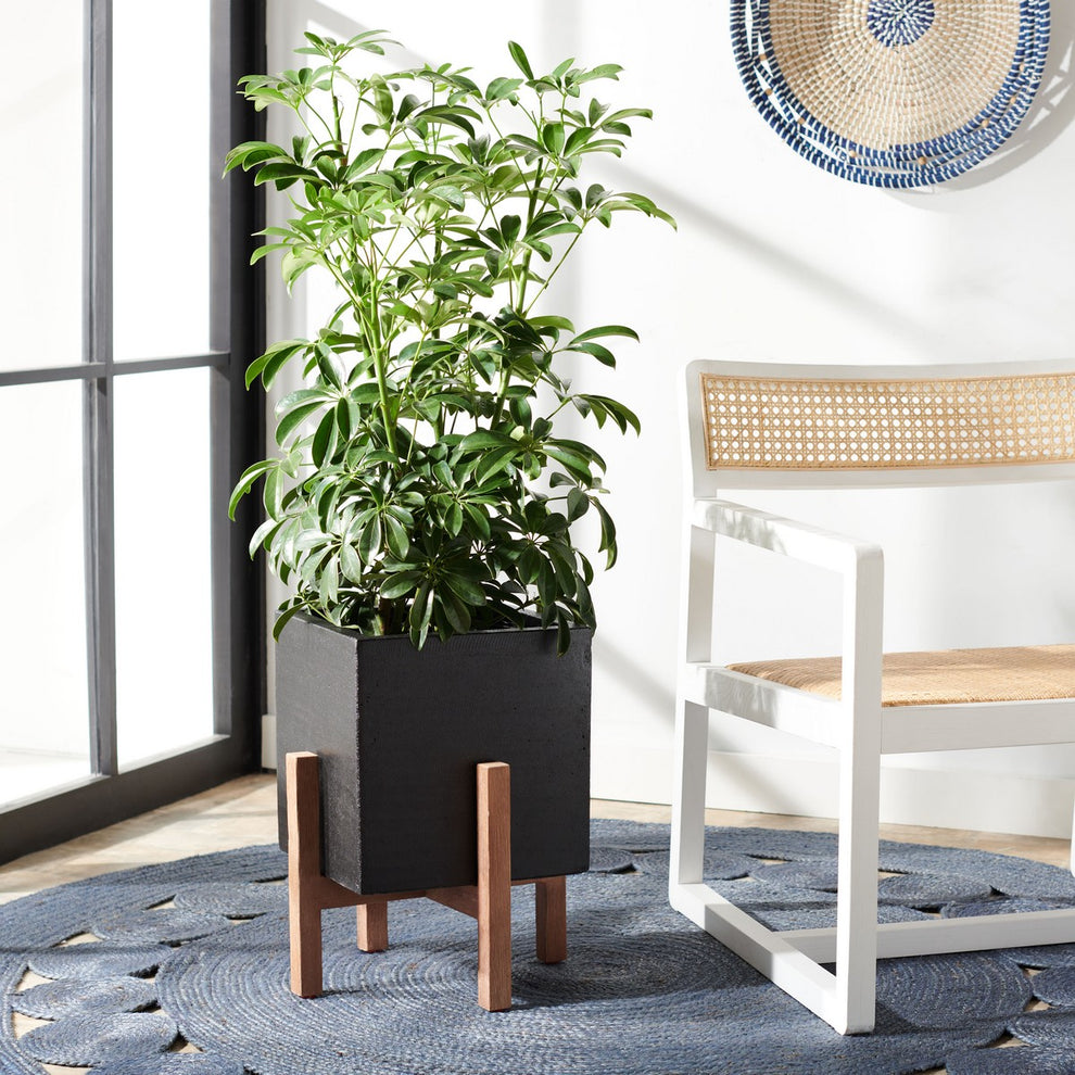 Safavieh Borsla Planter | Planters, Troughs & Cachepots | Modishstore - 1
