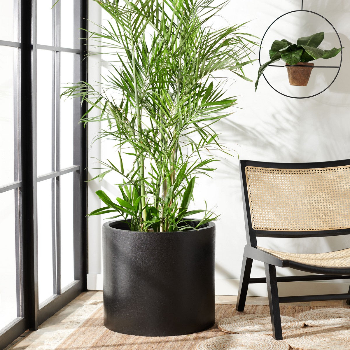Safavieh Alia Planter | Planters, Troughs & Cachepots | Modishstore - 1