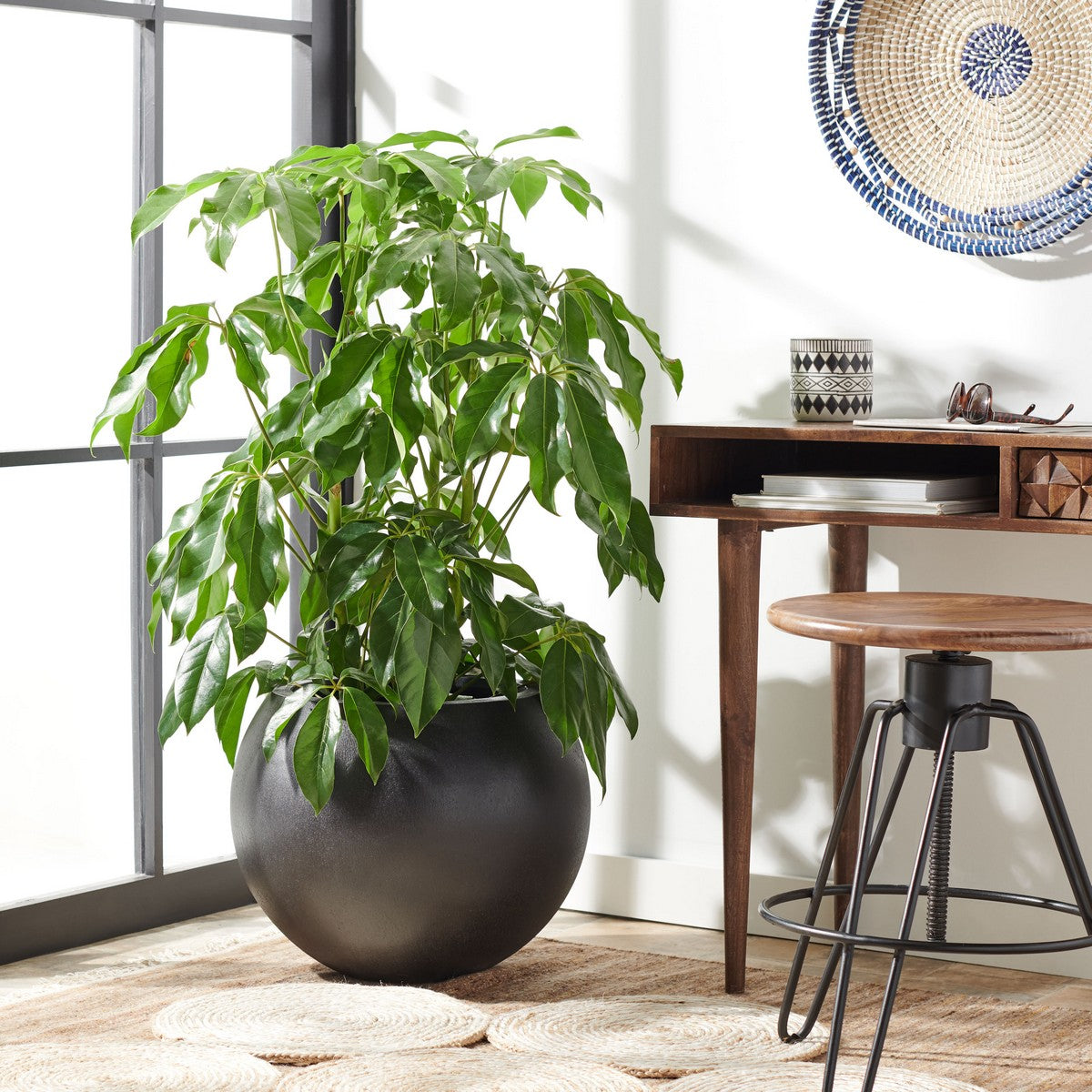 Safavieh Kenslia Planter | Planters, Troughs & Cachepots | Modishstore - 1