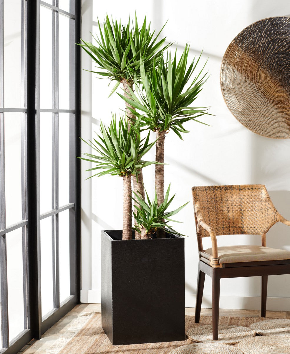 Safavieh Kendri Planter | Planters, Troughs & Cachepots | Modishstore - 1