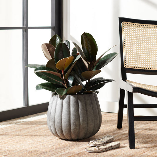 Safavieh Kaston Planter | Planters, Troughs & Cachepots | Modishstore - 1