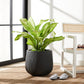 Safavieh Francia Planter | Planters, Troughs & Cachepots | Modishstore - 1