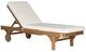 Safavieh Newport Chaise Lounge Chair With Side Table | Outdoor Recliners & Lounge Chairs |  Modishstore  - 10