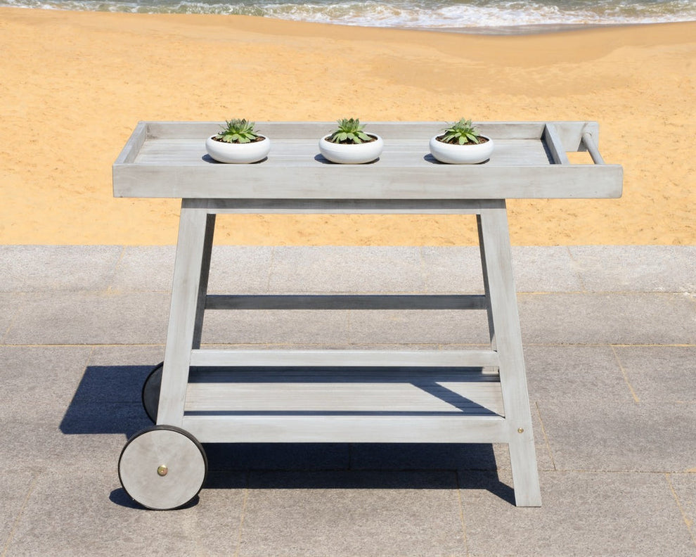 Safavieh Renzo Indoor/Outdoor Bar Cart | Bar Carts |  Modishstore 