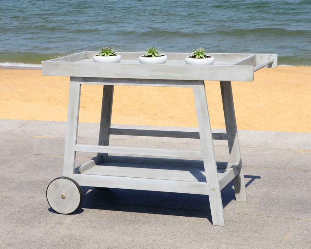Safavieh Renzo Indoor/Outdoor Bar Cart | Bar Carts |  Modishstore  - 2