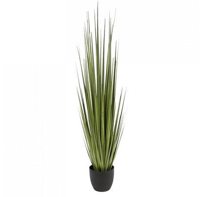 Grass, Potted Century by Gold Leaf Design Group | Botanicals | Modishstore - 2