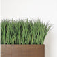 Grass: Liriope in Linear Planter with Legs - Gold Leaf Design Group | Planters, Troughs & Cachepots | Modishstore-3