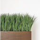 Grass: Liriope in Linear Planter with Legs - Gold Leaf Design Group | Planters, Troughs & Cachepots | Modishstore - 3