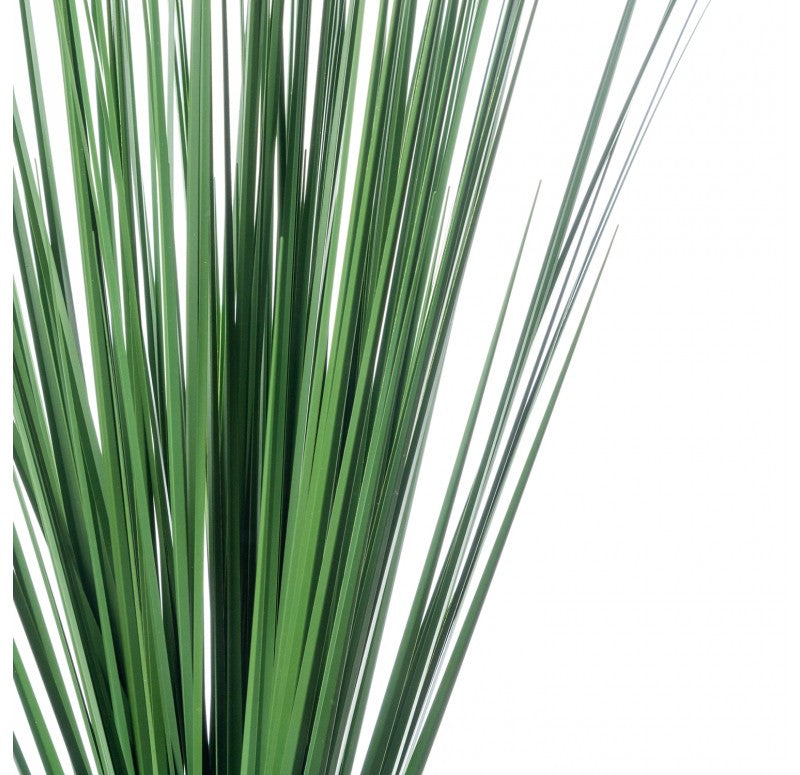 Grass, Outdoor Bush, 27"H Set of 12  by Gold Leaf Design Group | Botanicals | Modishstore - 2