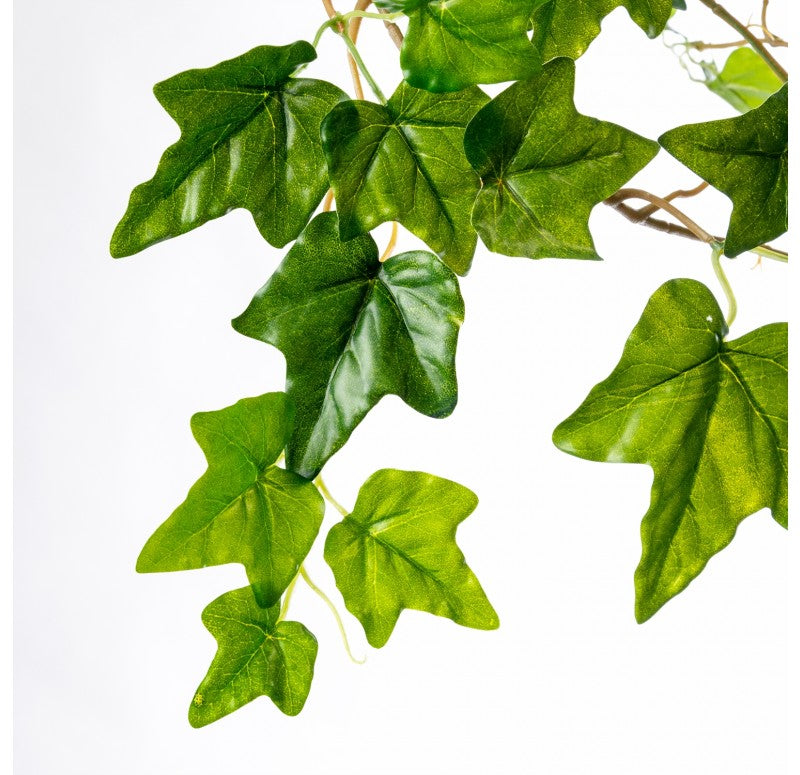 Ivy Garland, Outdoor, 66"L Set of 3 by Gold Leaf Design Group | Planters, Troughs & Cachepots | Modishstore - 2