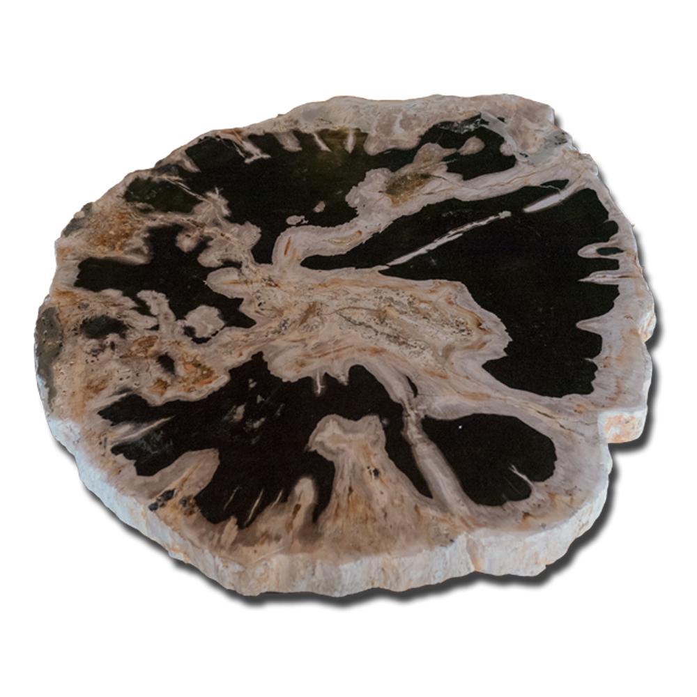 PF-1112 Petrified Wood Slab With Custom Made Base by AIRE Furniture-4