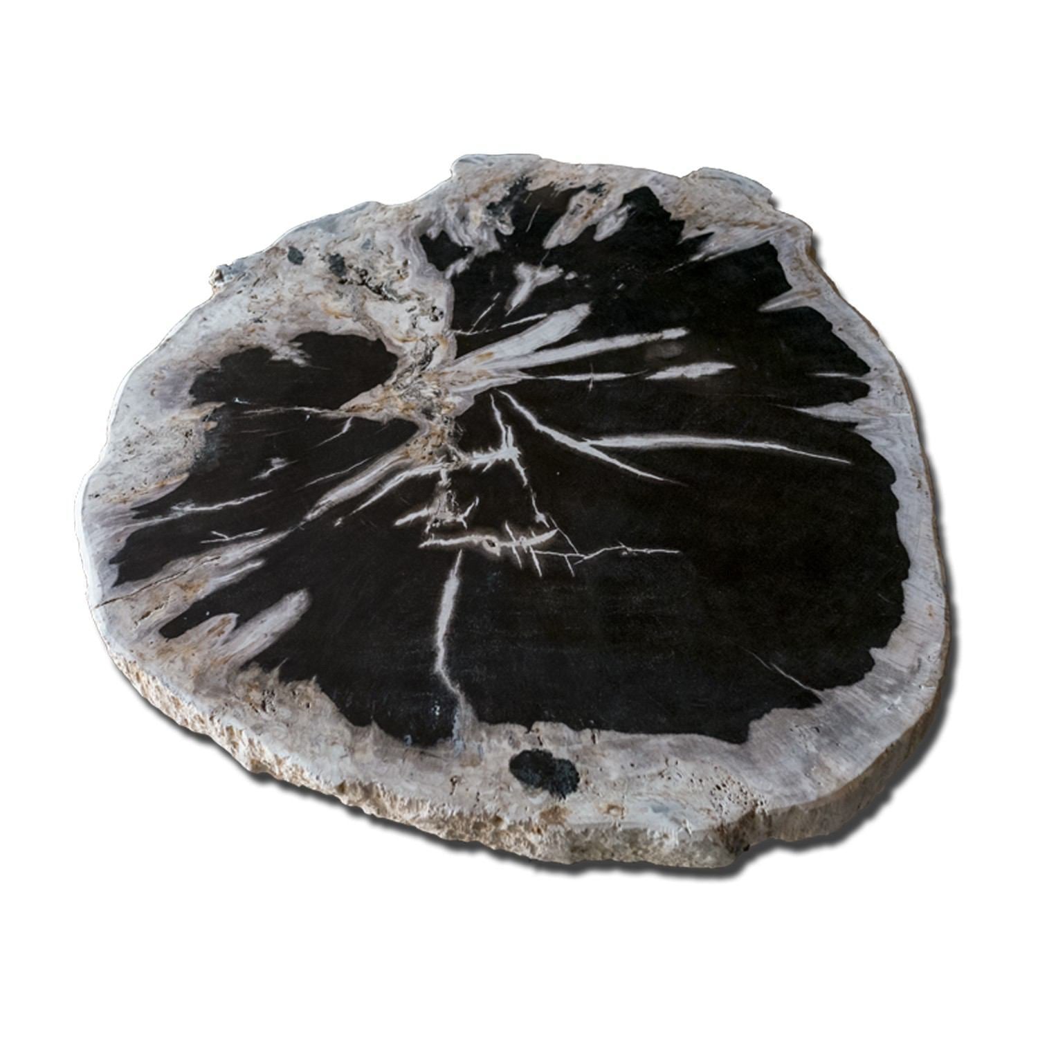 PF-1113 Petrified Wood Slab With Custom Made Base by AIRE Furniture-2