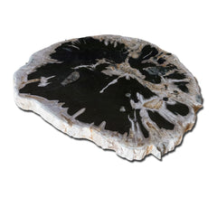 Petrified Wood Slab With Custom Made Base PF-1115 by Aire Furniture