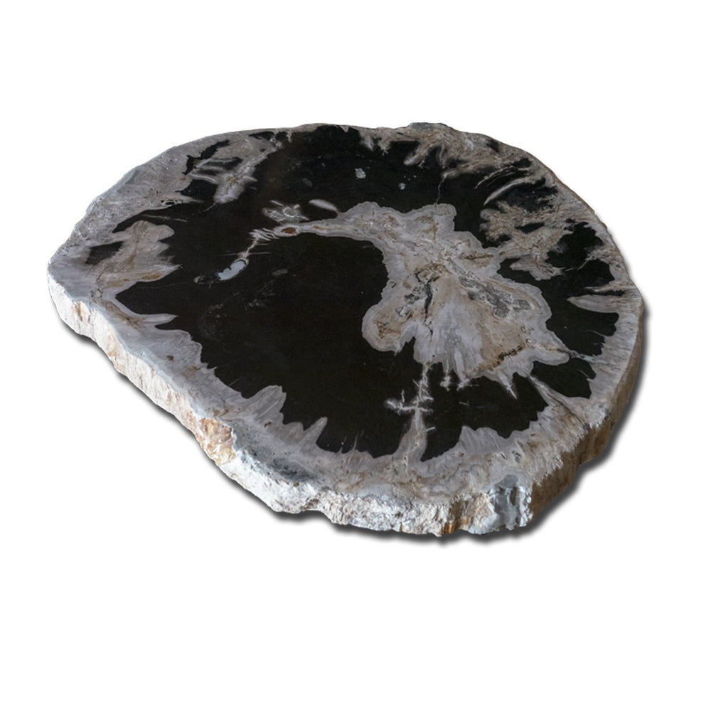 Petrified Wood Slab With Custom Made Base PF-1118  by Aire Furniture | Petrified Wood Slabs | Modishstore - 6