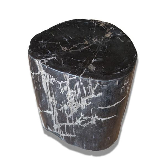 Aire Furniture Petrified Wood Stool - PF-2132 by Aire Furniture | Petrified Wood Stools | Modishstore