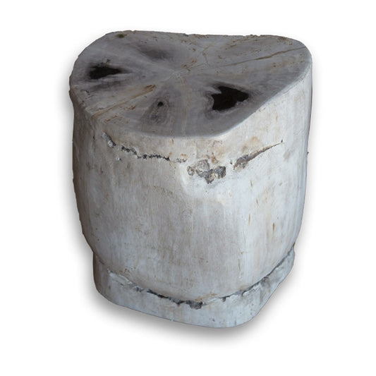Petrified Wood Stool PF-2134 by Aire Furniture | Petrified Wood Stools | Modishstore
