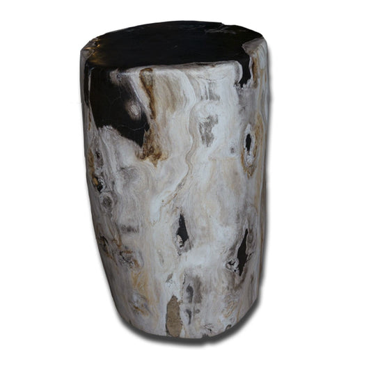 Petrified Wood Stool PF-2135 by Aire Furniture | Petrified Wood Stools | Modishstore