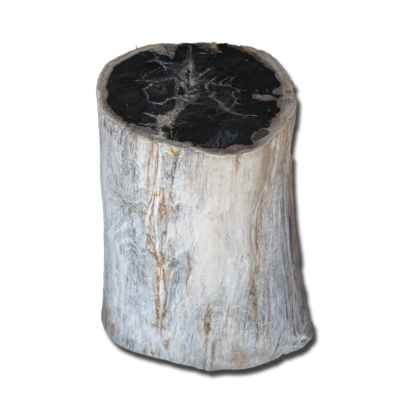 Petrified Wood Stool PF-2137 by Aire Furniture | Petrified Wood Stools | Modishstore