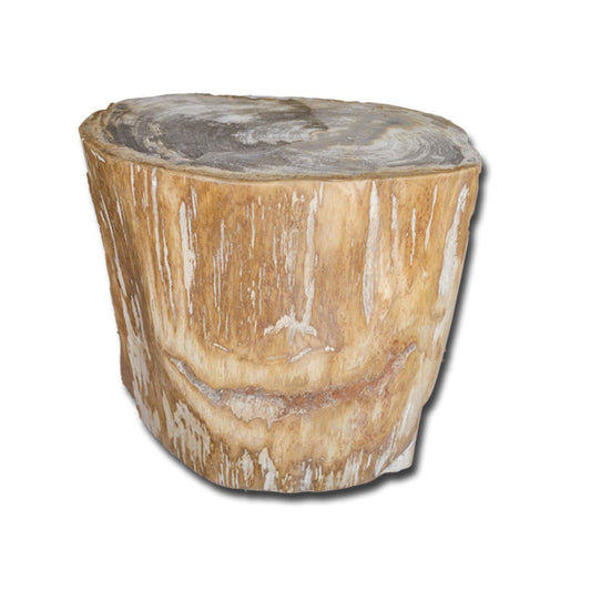 Petrified Wood Stool PF-2139 by Aire Furniture | Petrified Wood Stools | Modishstore