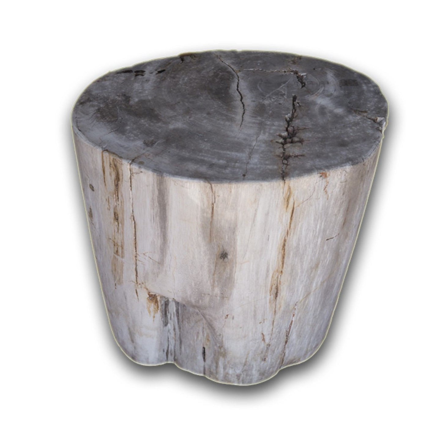 Petrified Wood Stool PF-2142 by Aire Furniture | Petrified Wood Stools | Modishstore