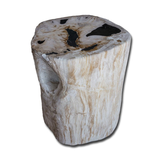 Petrified Wood Stool PF-2143 by Aire Furniture | Petrified Wood Stools | Modishstore