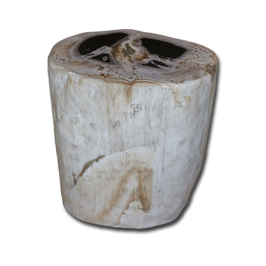 Petrified Wood Stool PF-2150 by Aire Furniture | Petrified Wood Stools | Modishstore