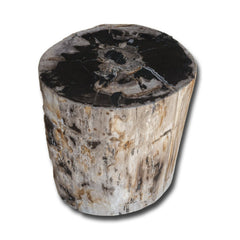 Petrified Wood Stool PF-2153 by Aire Furniture
