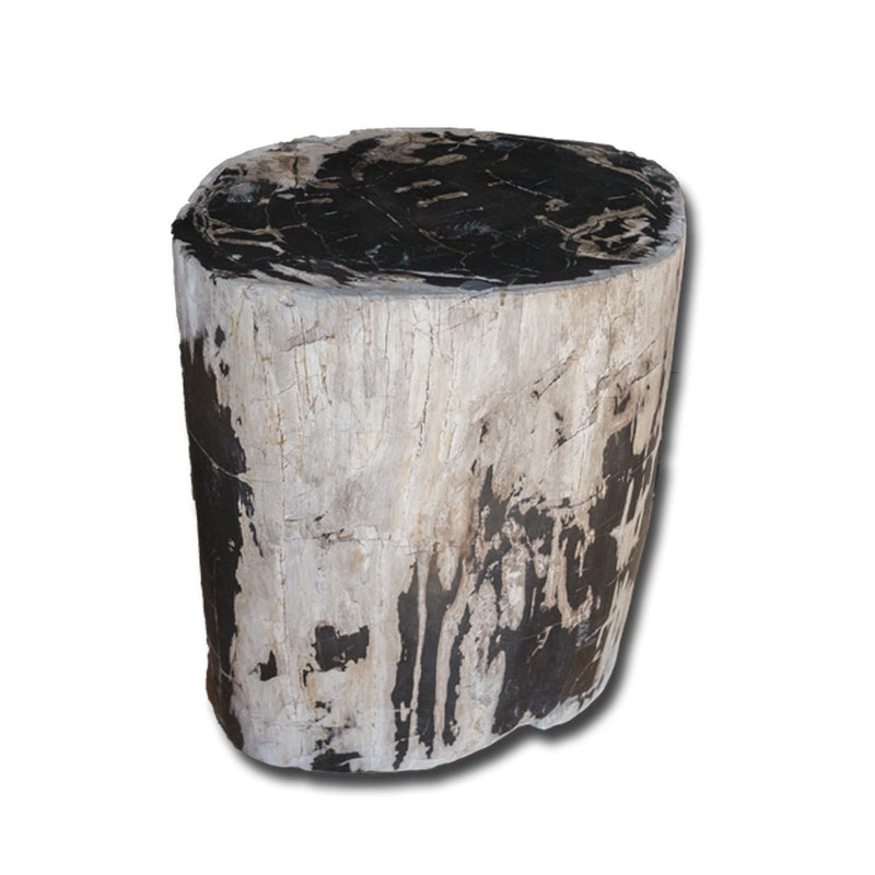 Petrified Wood Stool PF-2154 by Aire Furniture | Petrified Wood Stools | Modishstore