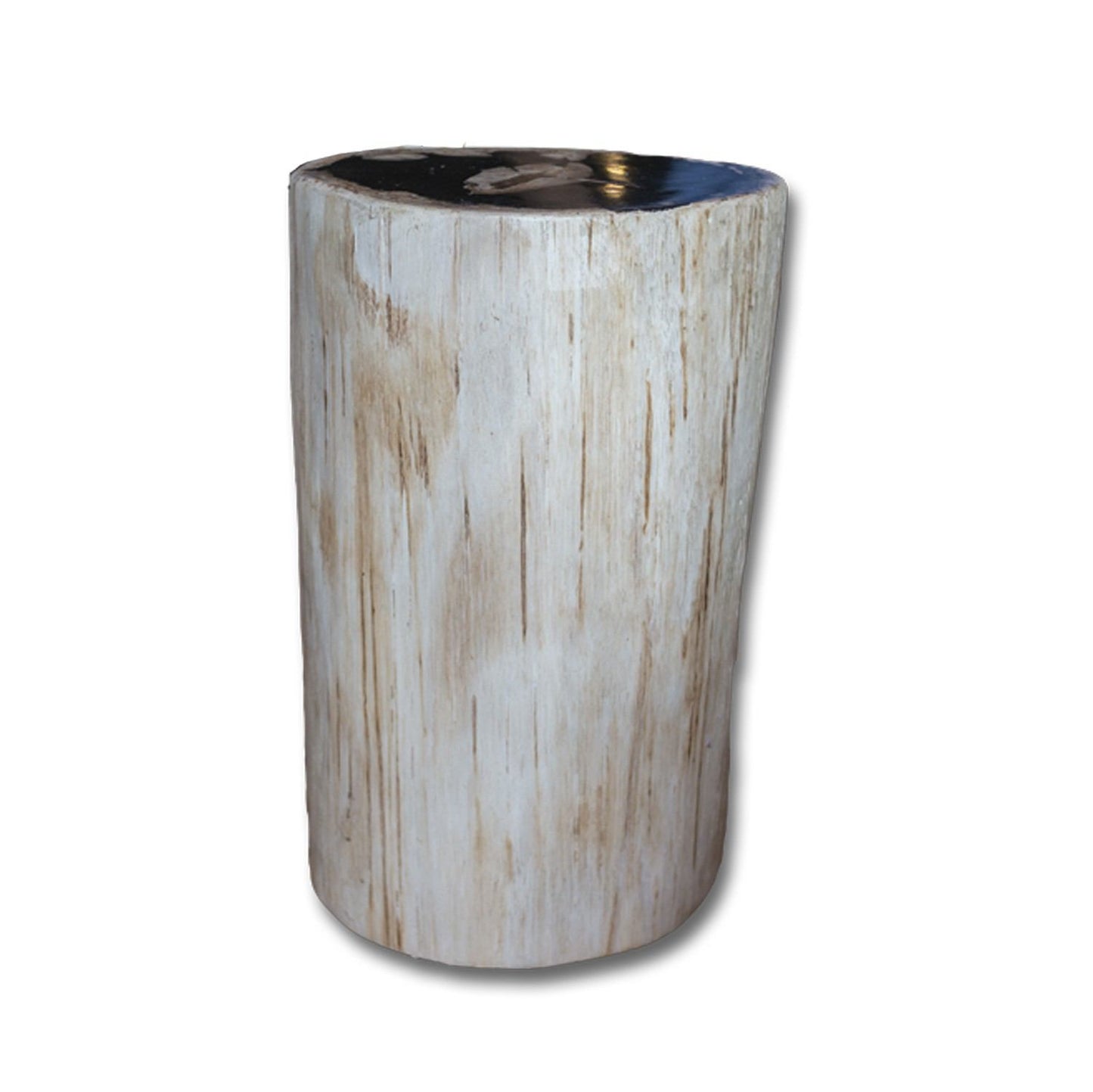 Petrified Wood Stool PF-2159 by Aire Furniture | Petrified Wood Stools | Modishstore