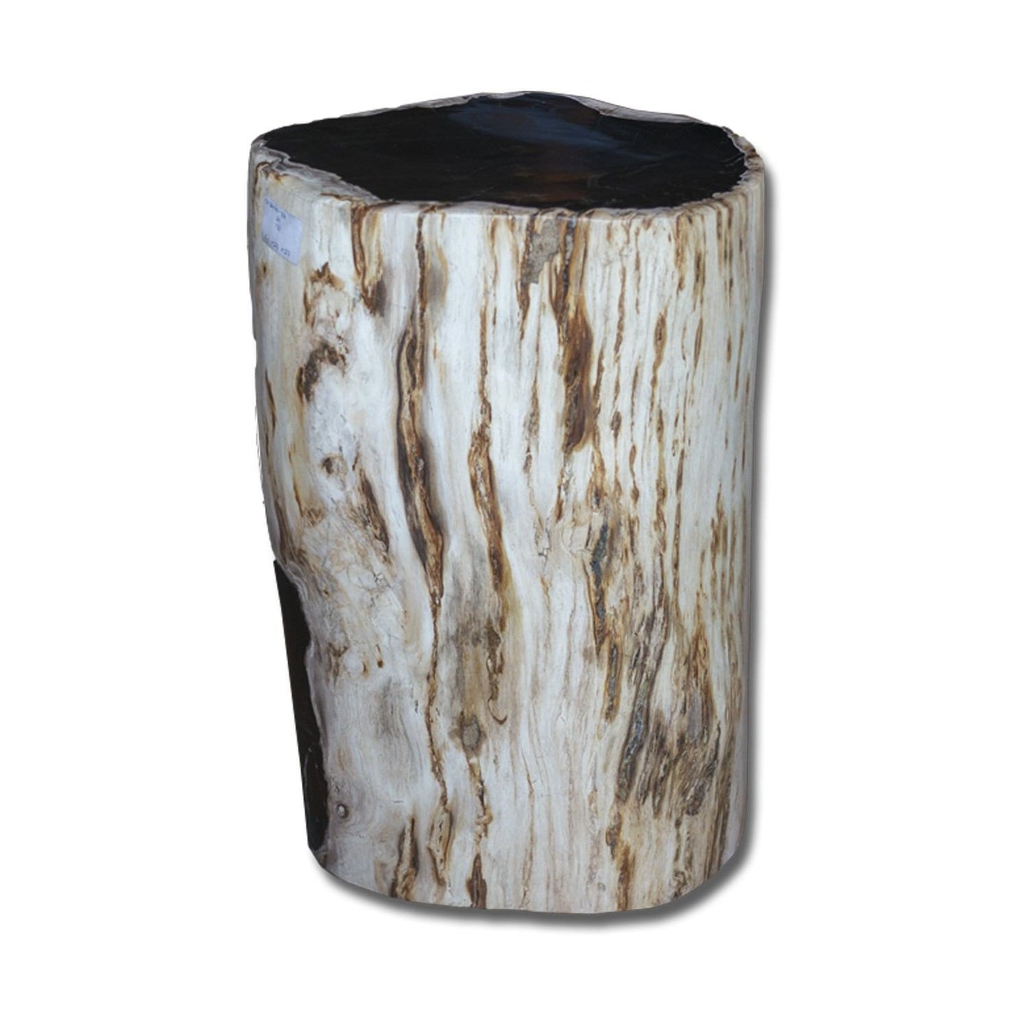Petrified Wood Stool PF-2160 by Aire Furniture | Petrified Wood Stools | Modishstore
