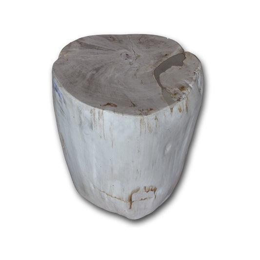 Petrified Wood Stool PF-2166 by Aire Furniture | Petrified Wood Stools | Modishstore