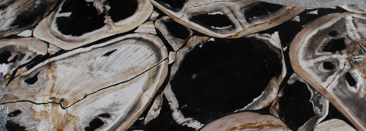Petrified Mosaic Coffee Table Top Ebony- PF3004 | Petrified Wood Slabs | Modishstore - 2