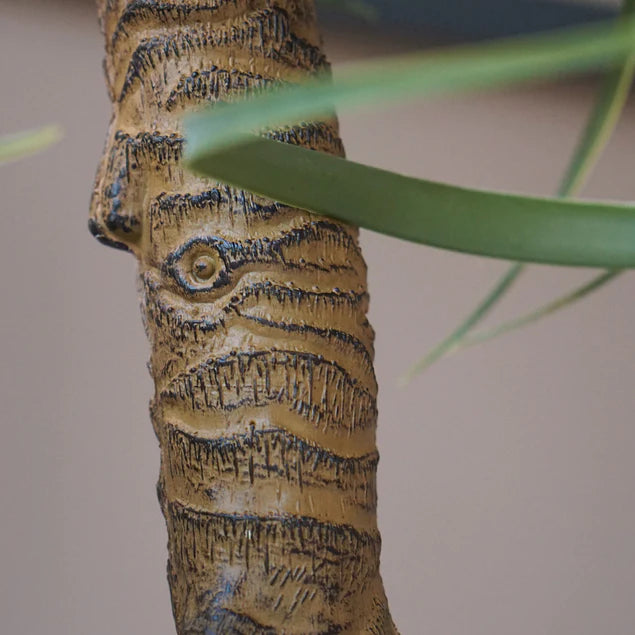 Aloe Tree, 23.25"H Potted By Gold Leaf Design Group | Planters, Troughs & Cachepots | Modishstore - 5