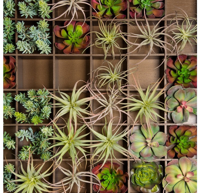 Green Wall, Pixelated Succulent by Gold Leaf Design Group | Green Wall | Modishstore - 2
