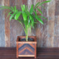 Masaya Planter, Hardwood Herringbone Pattern, Indoor/Outdoor | Planters, Troughs & Cachepots | Modishstore