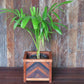 Masaya Planter, Hardwood Herringbone Pattern, Indoor/Outdoor | Planters, Troughs & Cachepots | Modishstore